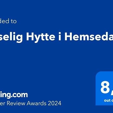Koselig Hytte I Hemsedal Exterior photo