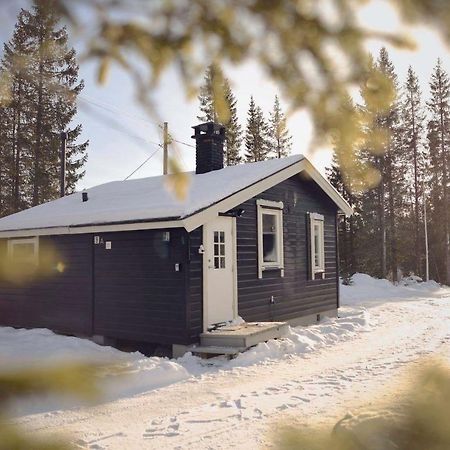 Koselig Hytte I Hemsedal Exterior photo