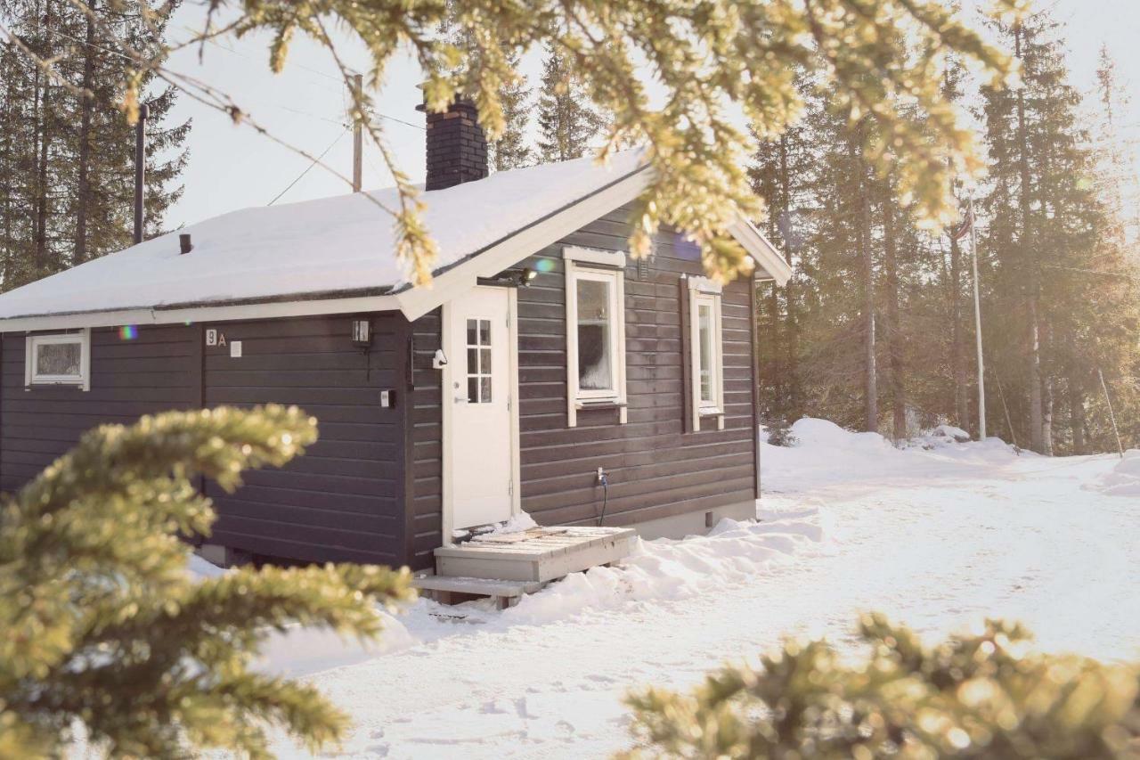 Koselig Hytte I Hemsedal Exterior photo