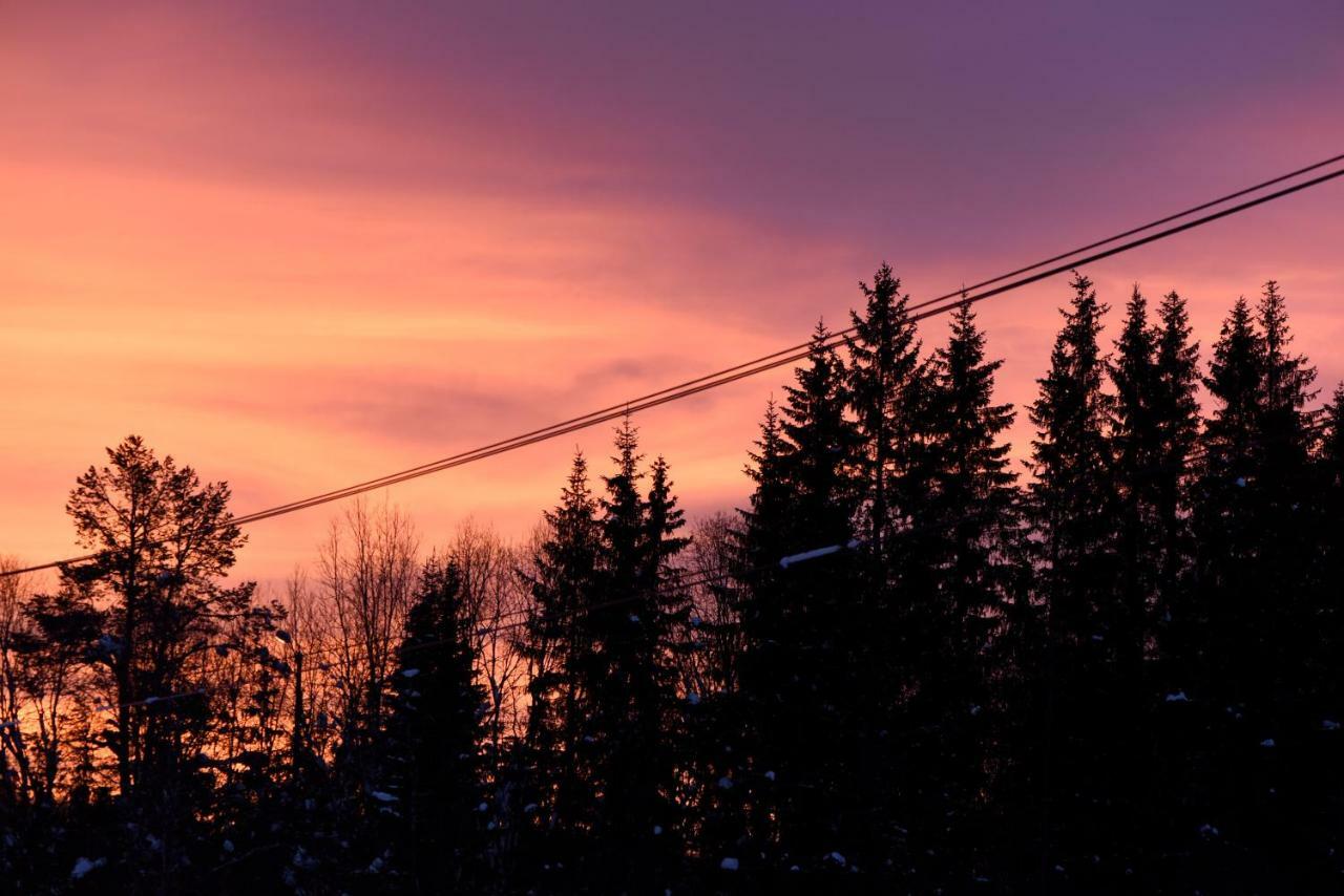 Koselig Hytte I Hemsedal Exterior photo