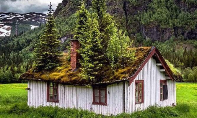 Koselig Hytte I Hemsedal Exterior photo